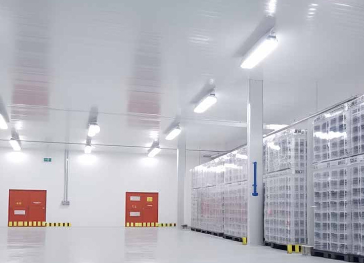 LED Freezer Light Series