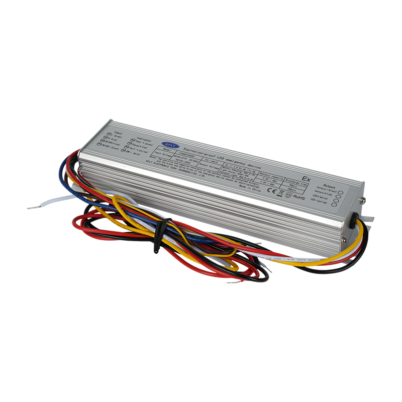 Explosion-proof Standalone LED Emergency Control Unit